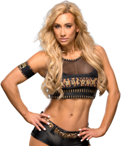 carmella wwe reputation management (2)