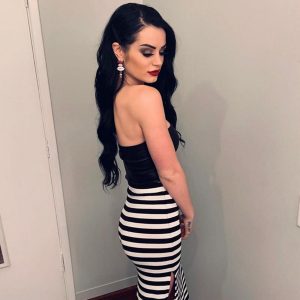 paige wwe celebrity reputation (3)