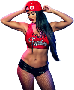 Nikki bella reputation and image (1)