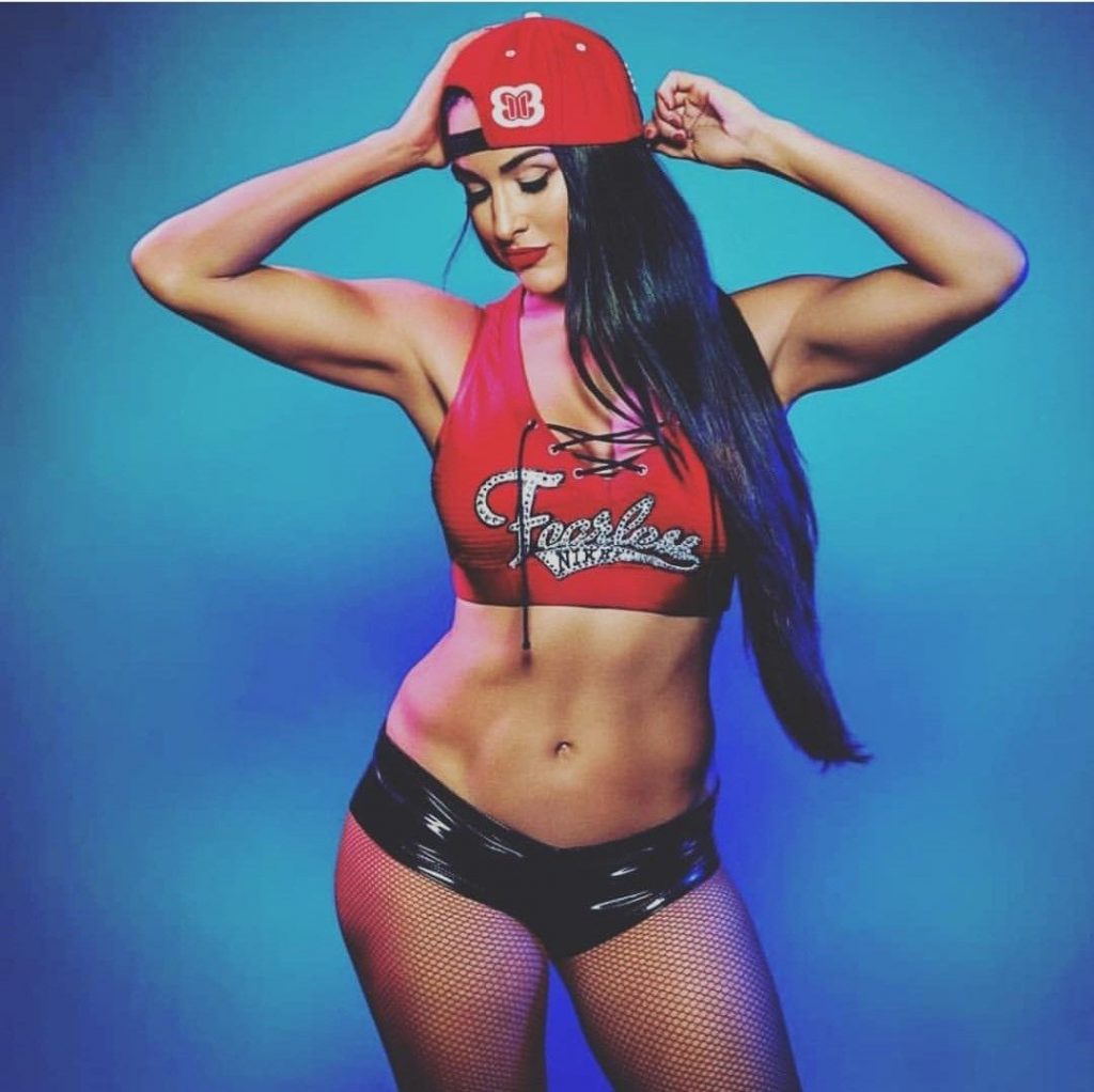 Nikki bella reputation and image (13)