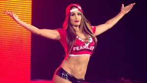 Nikki bella reputation and image (9)